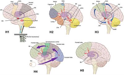 Neural Correlates of Freezing of Gait in Parkinson's Disease: An Electrophysiology Mini-Review